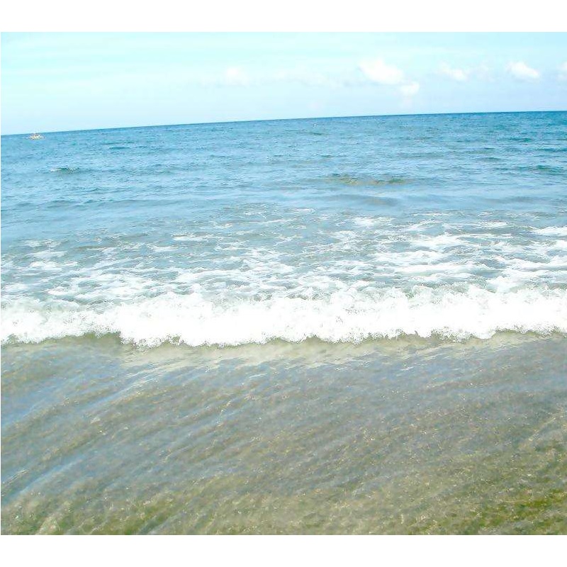 Protezione della corrosione della corrente randagio DC in acqua di mare